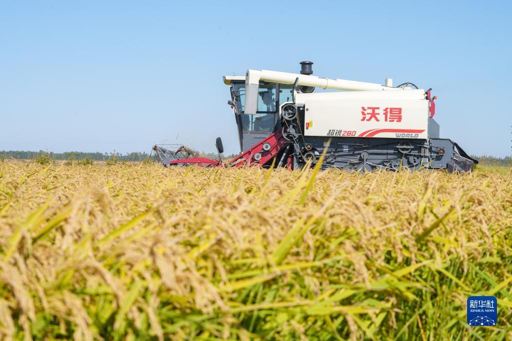 金沙老品牌值得信赖